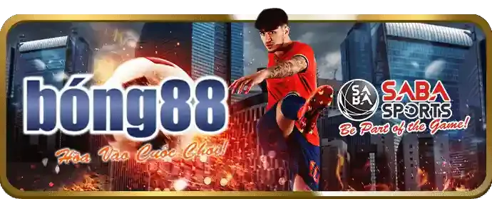 Biểu tượng tỷ lệ thắng cao